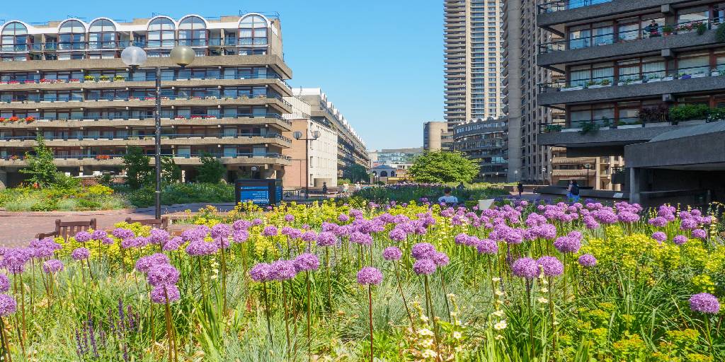 Urban garden