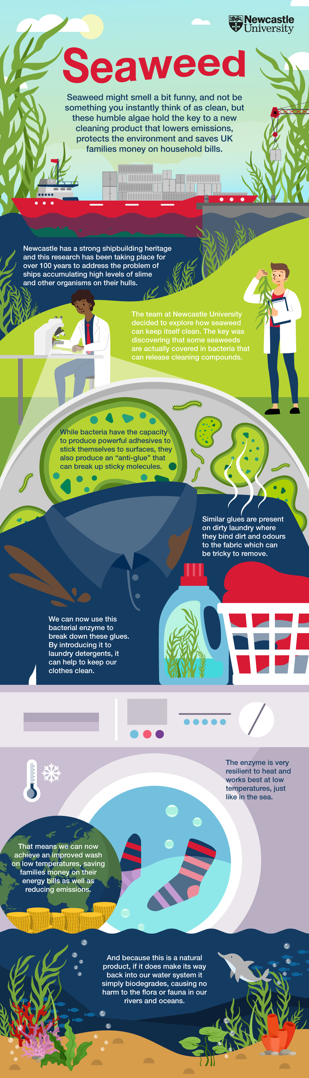 100921.015-Seaweed-Infographic-PROOF3