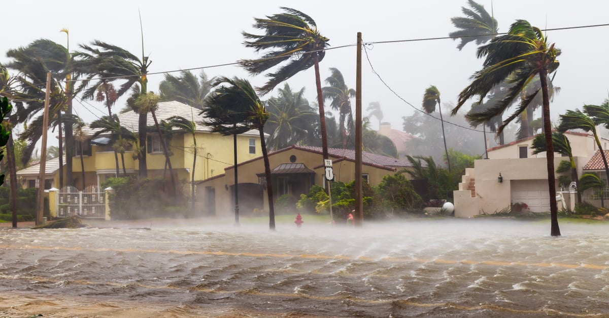 A flooded road bordering some houses in Florida, mid-hurricane. The sky is grey and multiple palm trees are wind-tossed, leaning to the left from the force of the wind.
