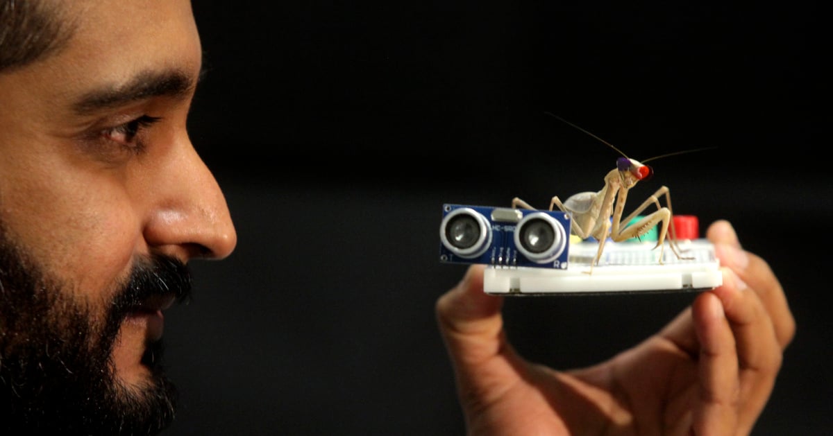 Dr Vivek Nityananda in profile holding a praying mantis.