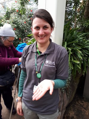 Photograph of Dr Cavadino working at the RHS. Photo: RHS, Hayley Jones