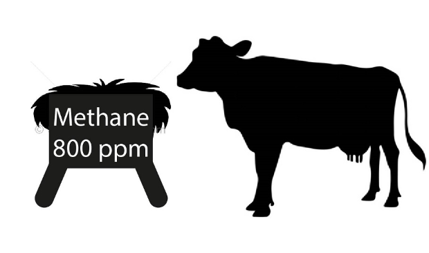 Silhouette of a livestock feeder and cow. 'Methane 800 ppm' is written on the feeder.