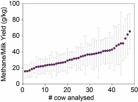 An appreciating graph measuring methane/milk yield (g/kg) against numbers of cows analysed.