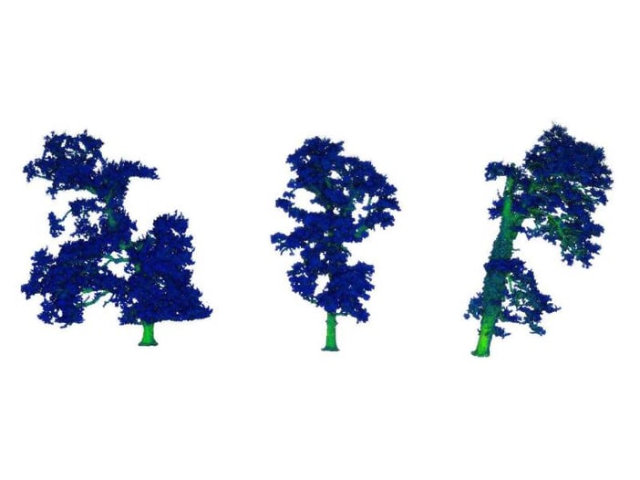 3D tree scanner