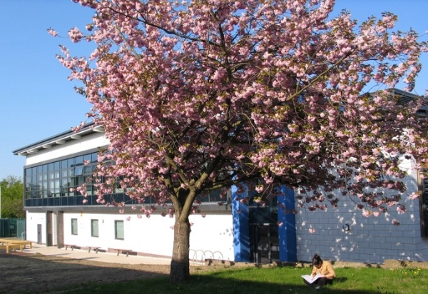 newcastle-magnetic-resonance-centre