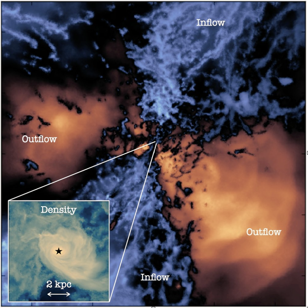 one of my simulations predicting strong winds from a simulated early quasar. Costa et al. 2024 - Copy