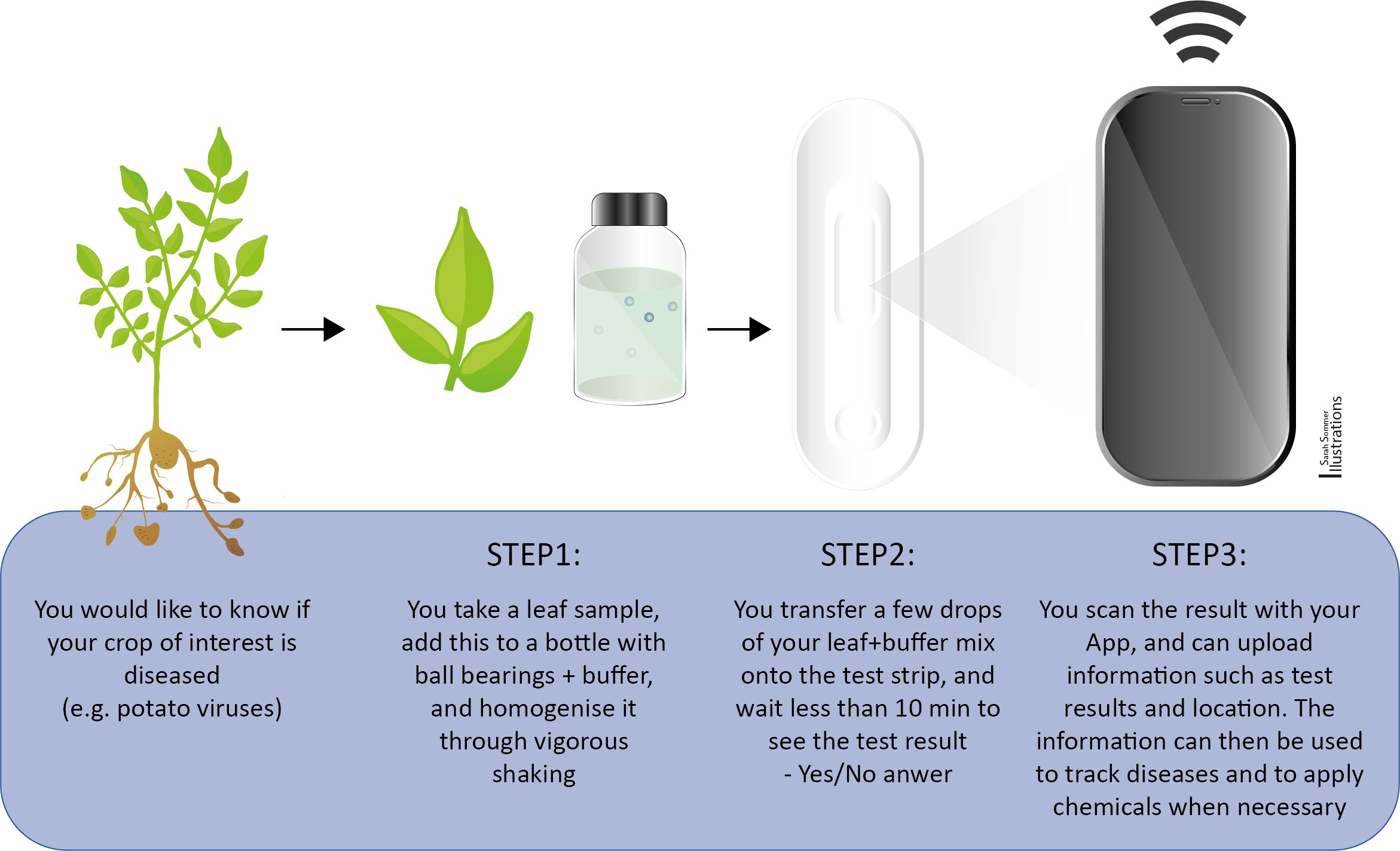 Instructions for the Spot-On Agri-Diagnostics tool