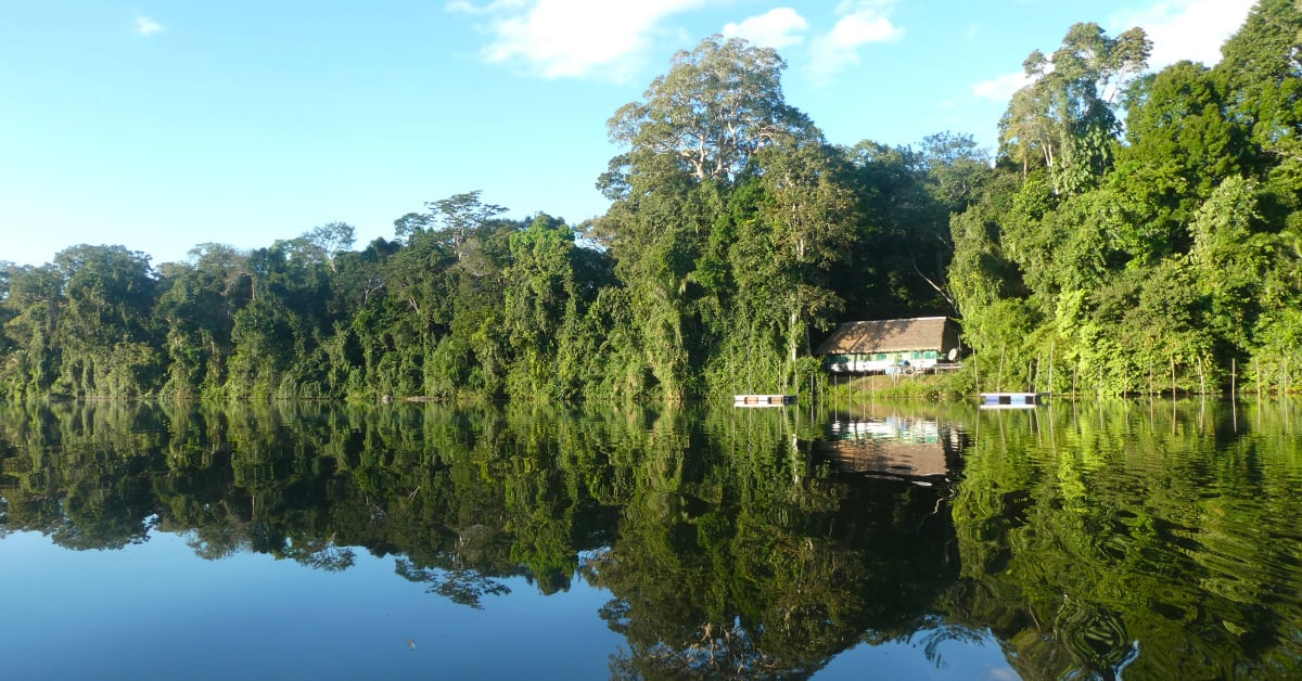 The Cocha Cashu Biological Station in Peru. The station is nestled in a row of trees near a lake's edge, reflected in the water.