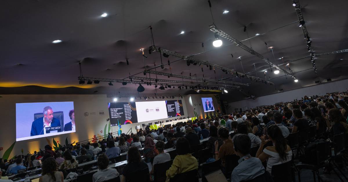 Closing plenary at the UN Climate Change Conference
