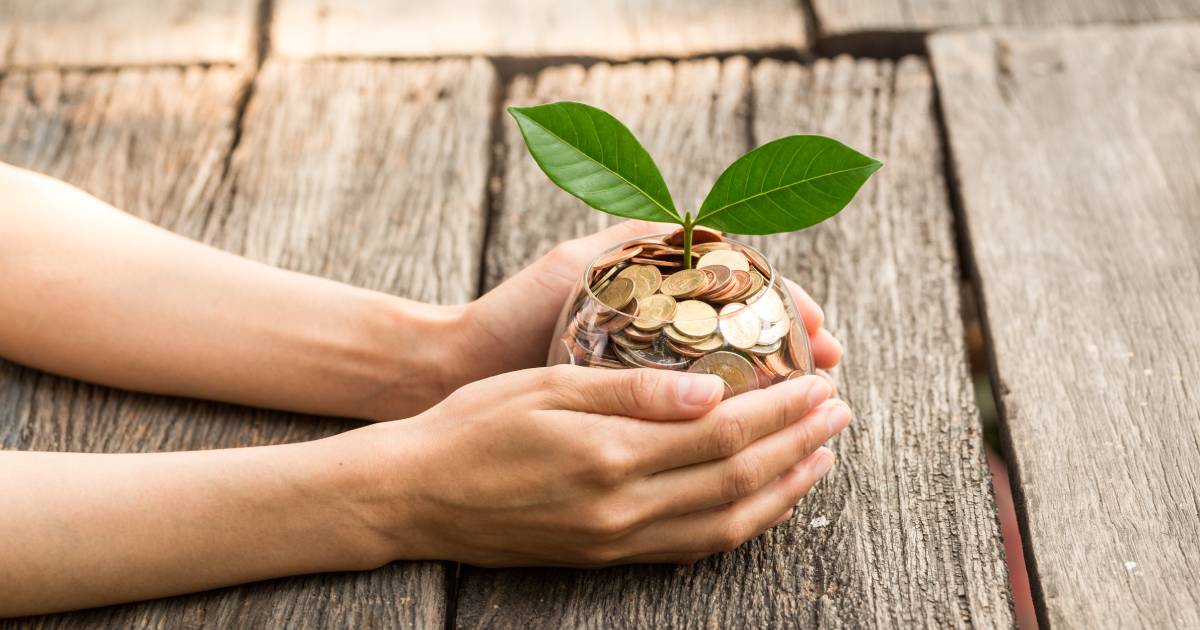 Plant growing in a bowl of coins representing responsible investment